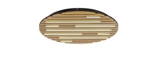 Paul neuhaus home smart Q-Akustik plafonnier rond